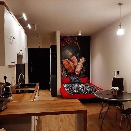 ביילסקו-ביאלה Apartament Pod Szyndzielnia, Debowiec מראה חיצוני תמונה