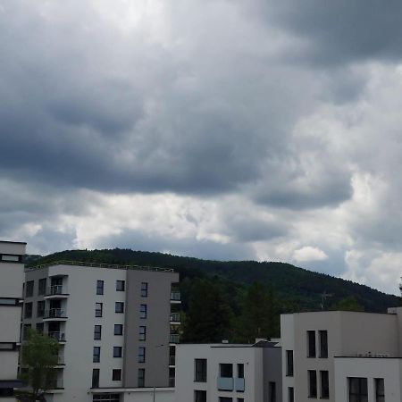 ביילסקו-ביאלה Apartament Pod Szyndzielnia, Debowiec מראה חיצוני תמונה