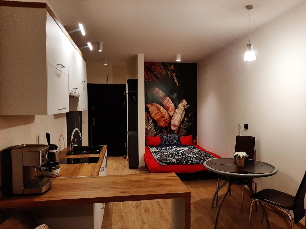 ביילסקו-ביאלה Apartament Pod Szyndzielnia, Debowiec מראה חיצוני תמונה