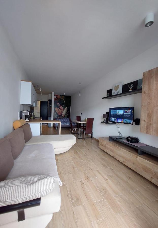 ביילסקו-ביאלה Apartament Pod Szyndzielnia, Debowiec מראה חיצוני תמונה