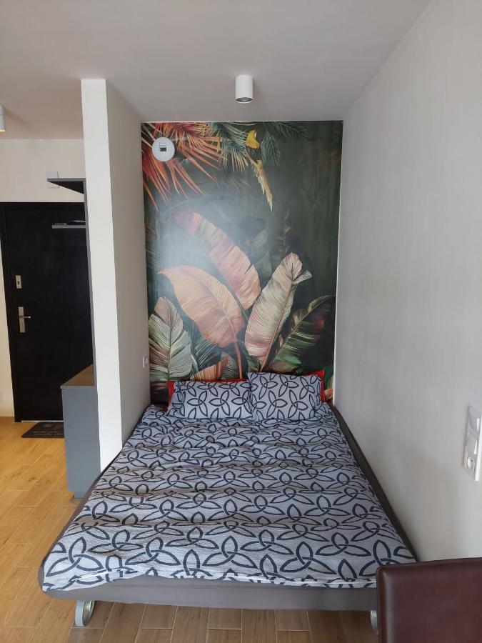 ביילסקו-ביאלה Apartament Pod Szyndzielnia, Debowiec מראה חיצוני תמונה